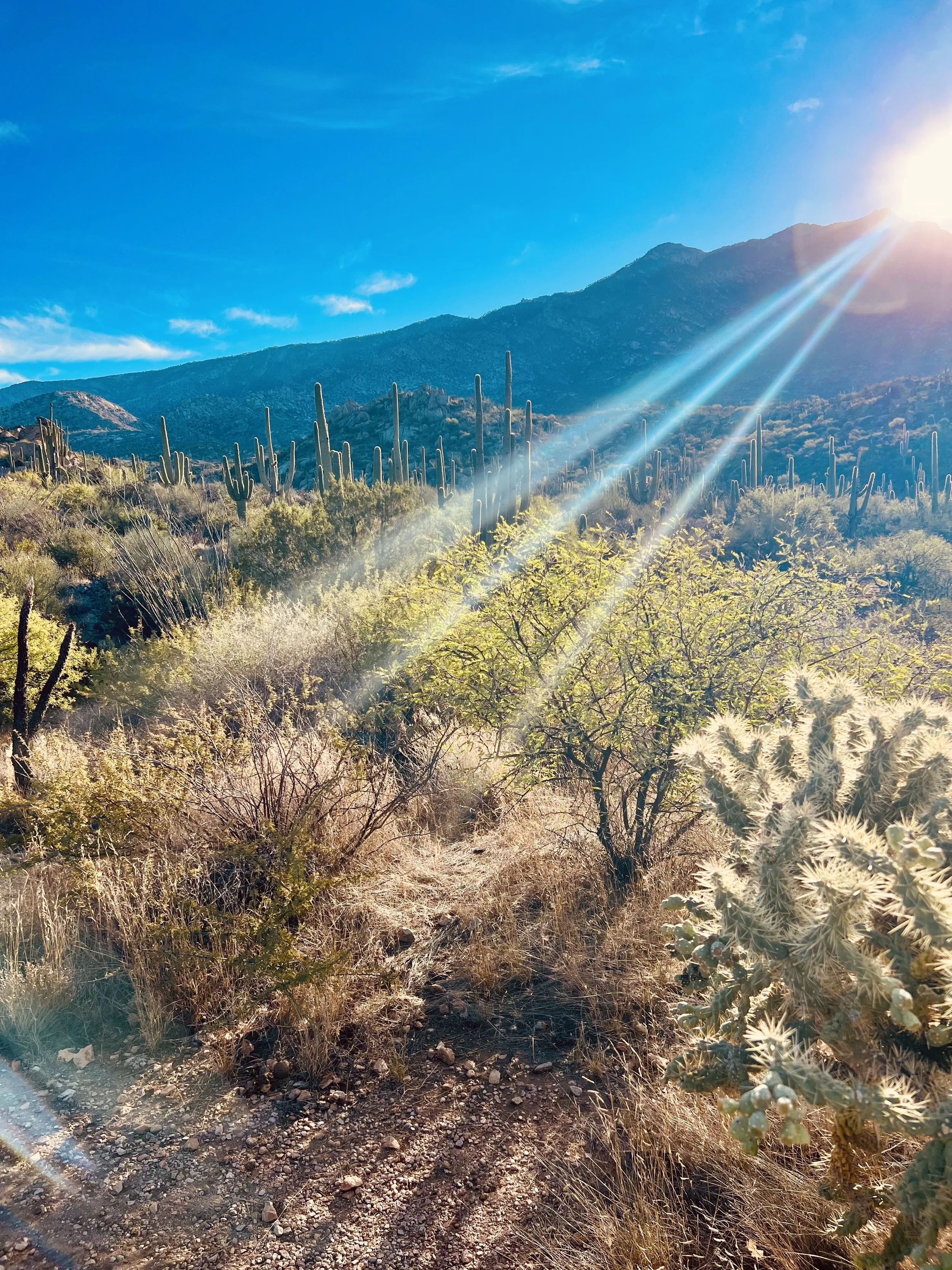 Sun rays streaming over a desert mountain landscape